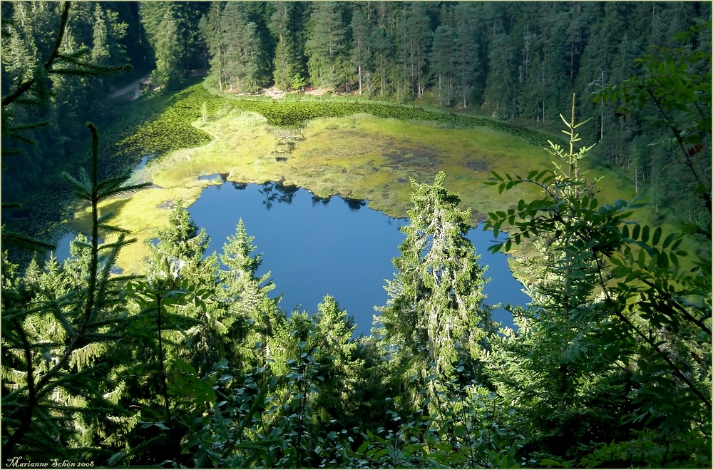 Blick zum Huzenbacher See