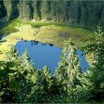 Blick zum Huzenbacher See