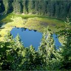 Blick zum Huzenbacher See