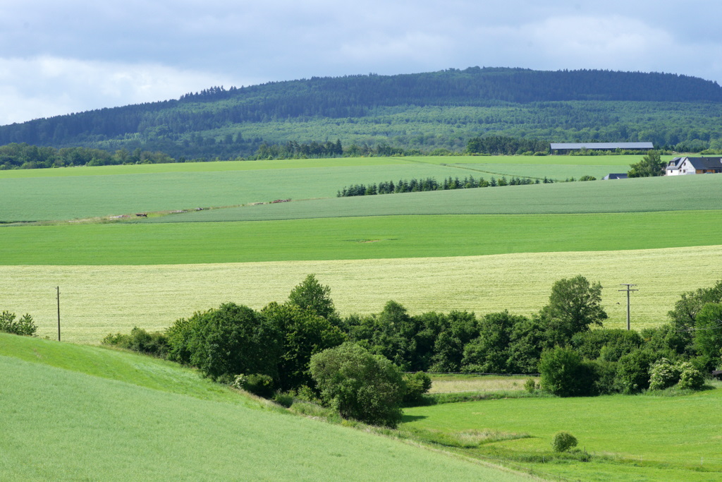 Blick zum Idarwald