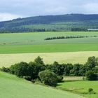 Blick zum Idarwald