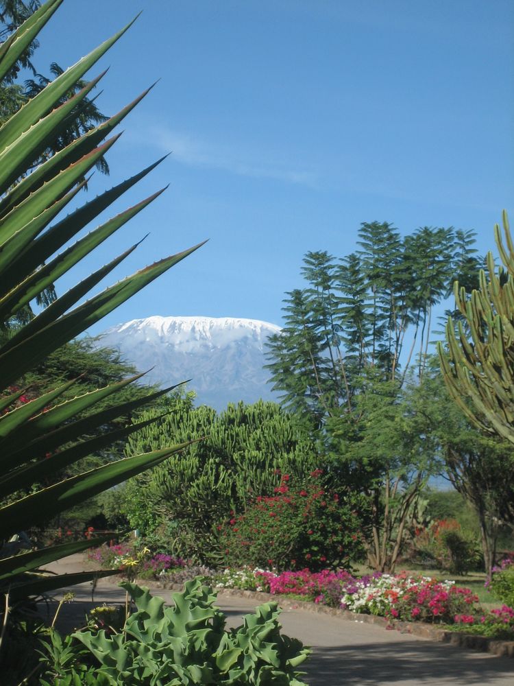 Blick zum Kilimanjaro von Jambo2007 
