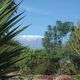 Blick zum Kilimanjaro