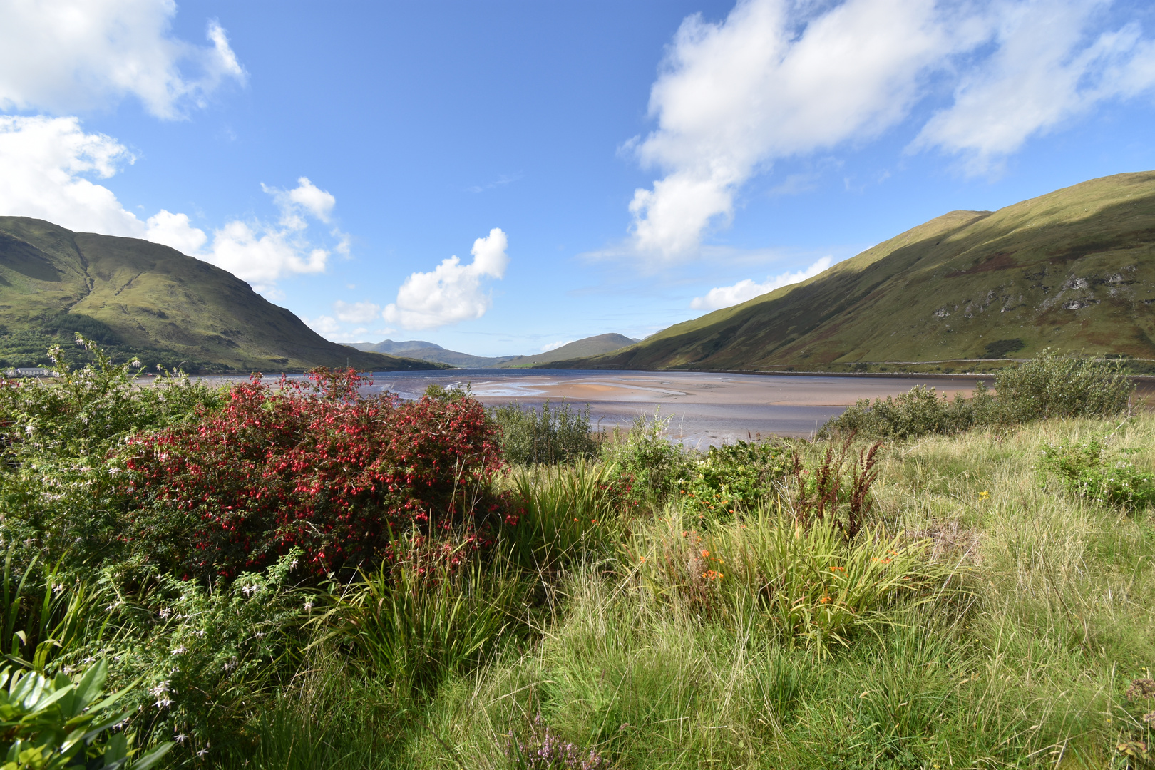 Blick zum Killary Fjord