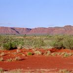 Blick zum Kings Canyon