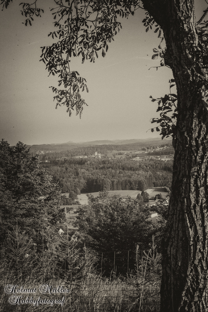 Blick zum Kirchturm