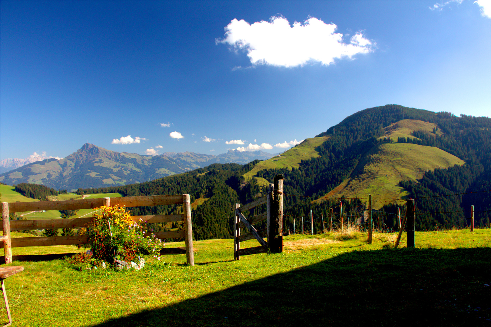 Blick zum Kitzbüheler Horn