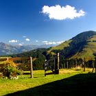 Blick zum Kitzbüheler Horn