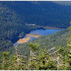 Blick zum Kleinen Arbersee