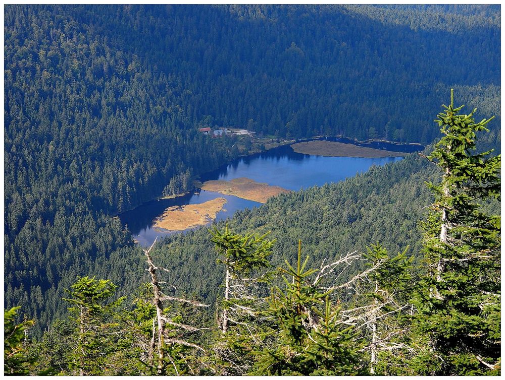 Blick zum Kleinen Arbersee