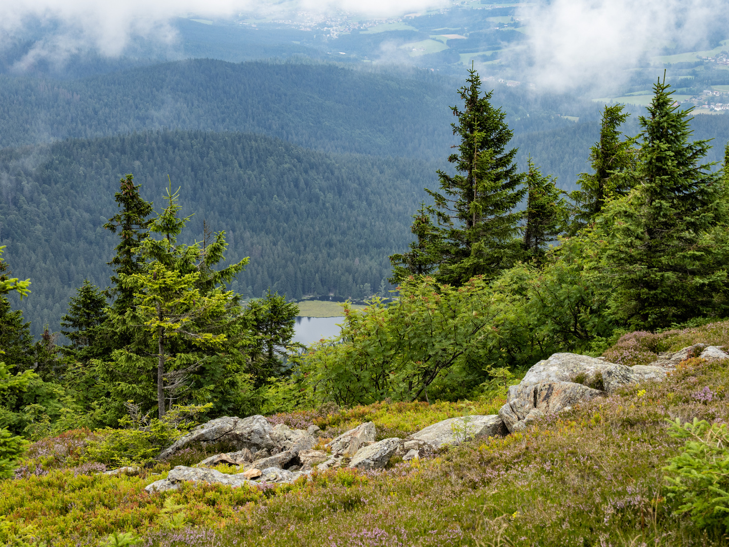 Blick zum kleinen Arbersee