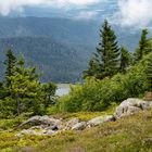 Blick zum kleinen Arbersee