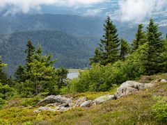 Blick zum kleinen Arbersee