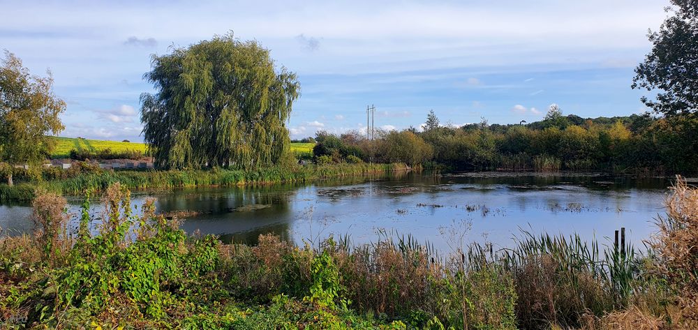 Blick zum kleinen Teich