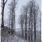 Blick zum Kloster Bruckmühl