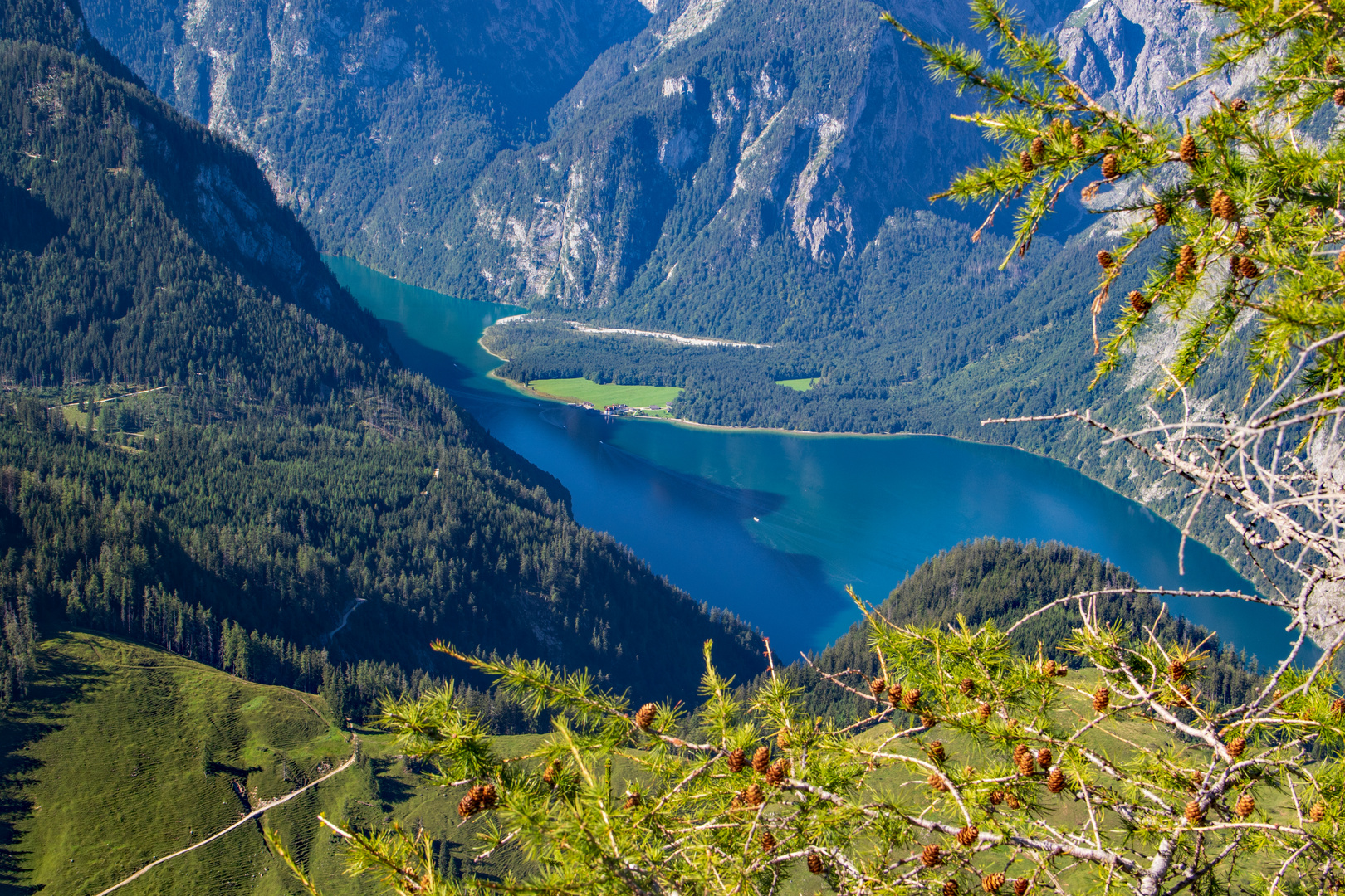 Blick zum Königsee vom Jenner