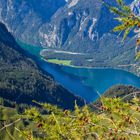 Blick zum Königsee vom Jenner