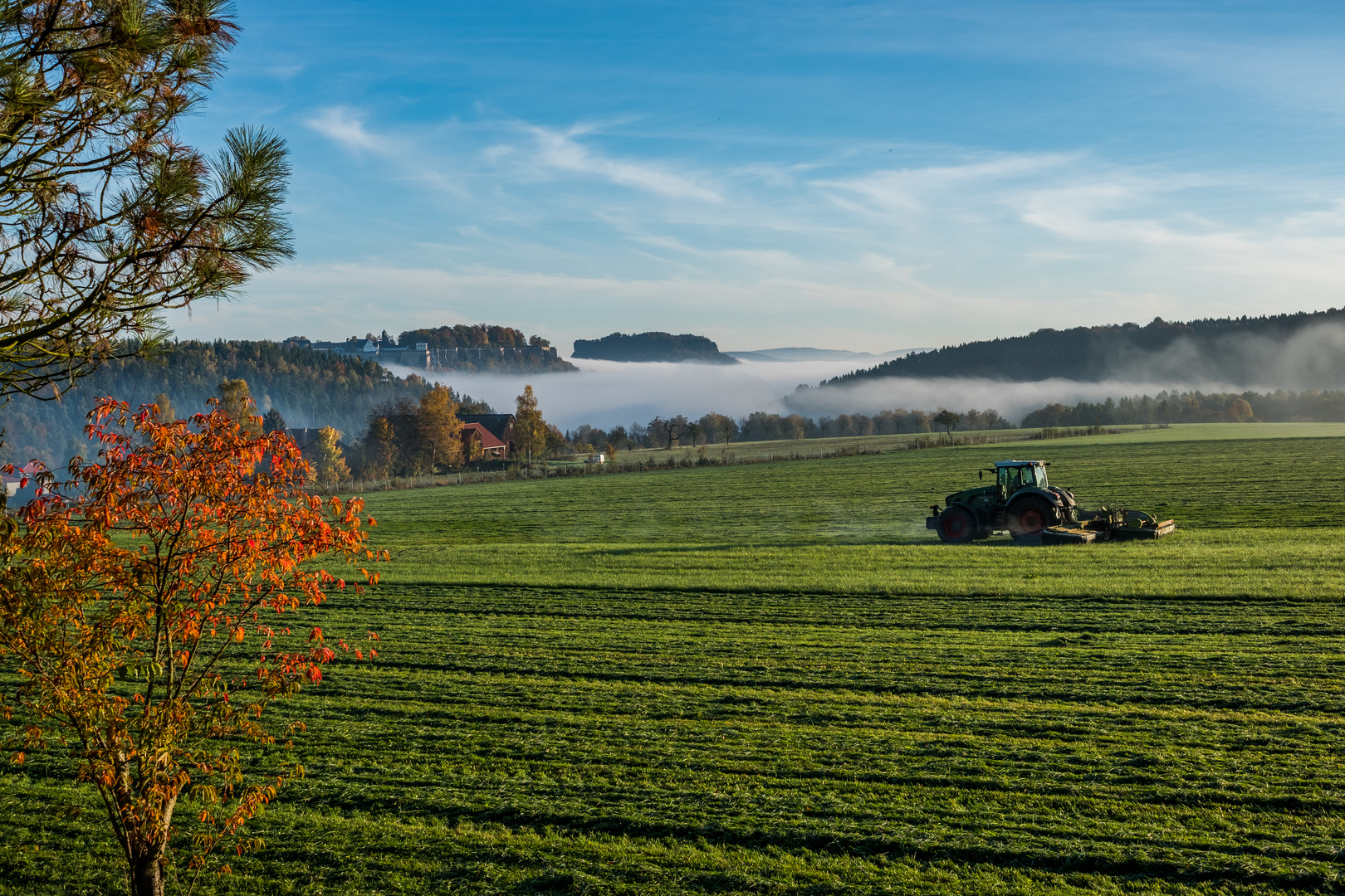 Blick zum Königstein