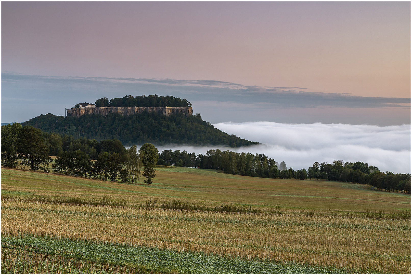 Blick zum Königstein