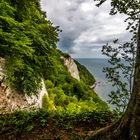 Blick zum Königstuhl