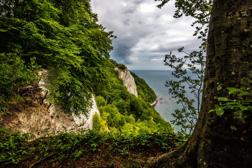 Blick zum Königstuhl