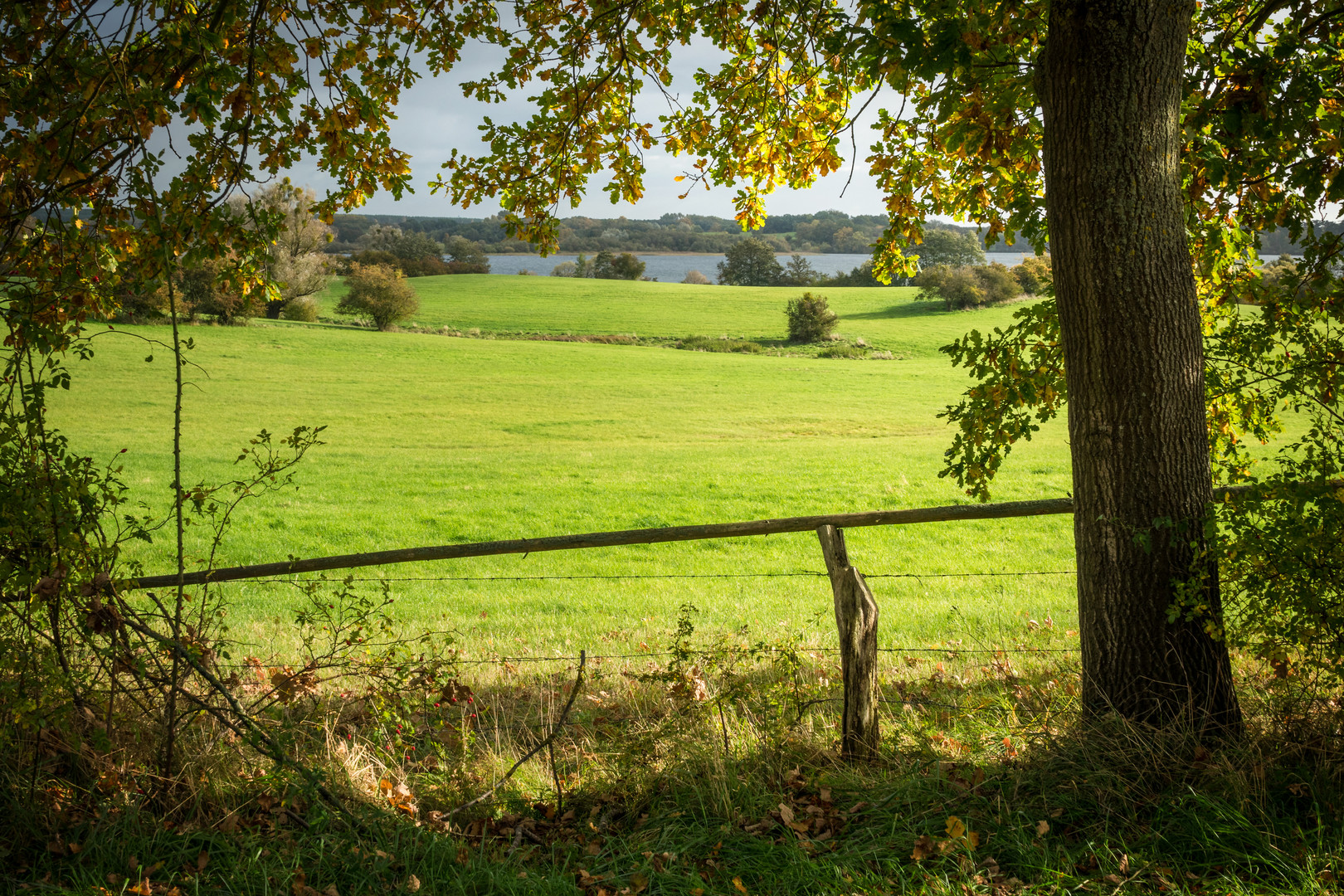 Blick zum Krakower See