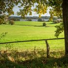 Blick zum Krakower See