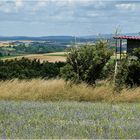 Blick zum Landkreis Eichsfeld (1)