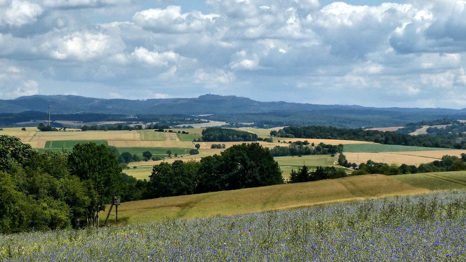 Blick zum Landkreis Eichsfeld (2)