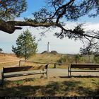 Blick zum Leuchtturm