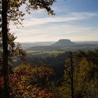 Blick zum Lilienstein