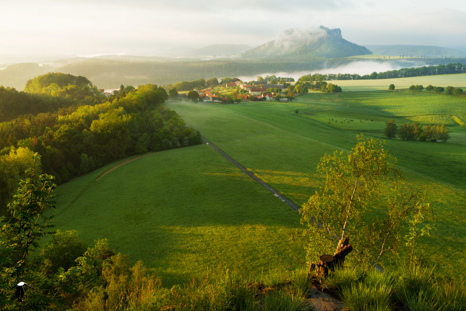 Blick zum Lilienstein 1