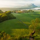 Blick zum Lilienstein 1