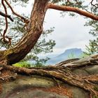 Blick zum Lilienstein 2