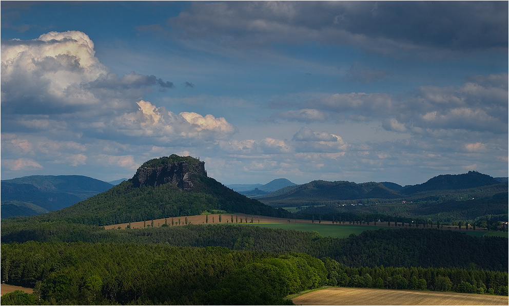 Blick zum Lilienstein