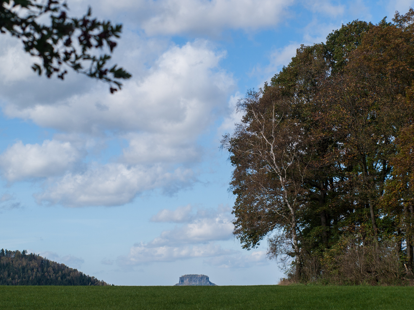 Blick zum Lilienstein