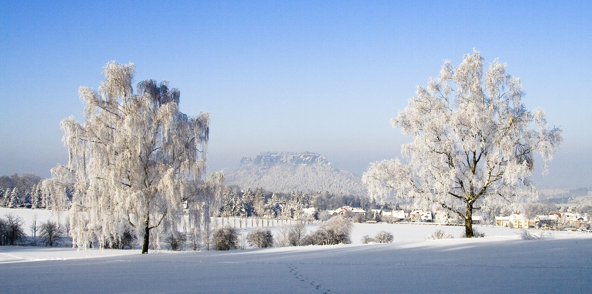 Blick zum Lilienstein