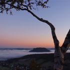 Blick zum Lilienstein in der Sächsischen Schweiz 