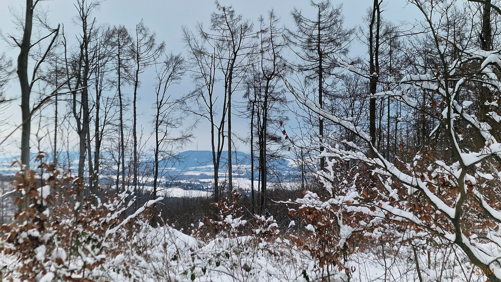 Blick zum Löbauer Berg