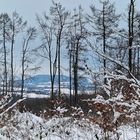 Blick zum Löbauer Berg