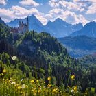 Blick zum Märchenschloss Neuschwanstein