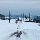 Blick zum Mattenhof