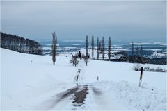 Blick zum Mattenhof