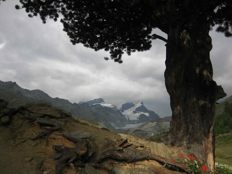 Blick zum Matterhorn