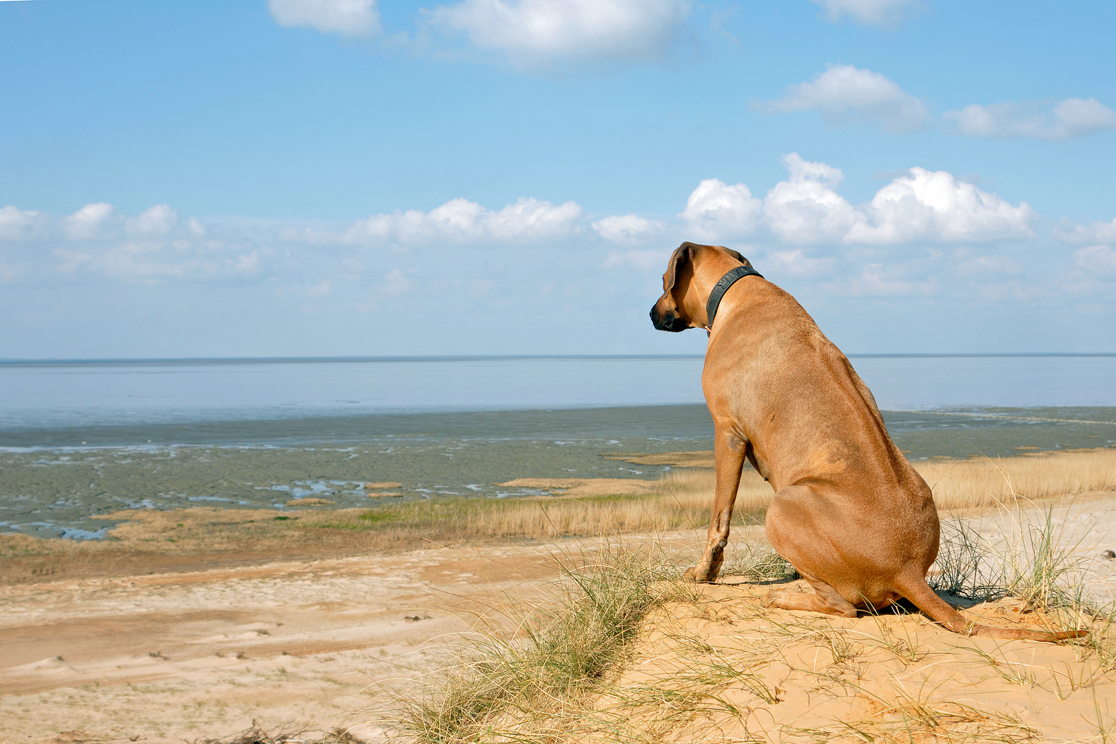 Blick zum Meer