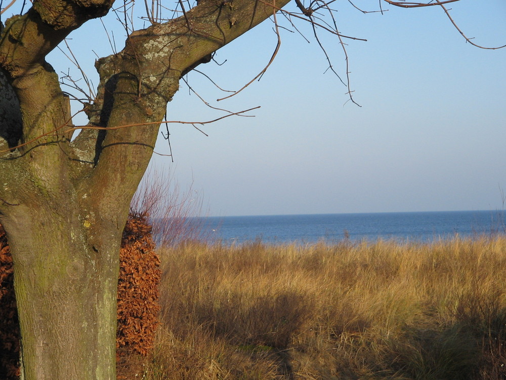 Blick zum Meer