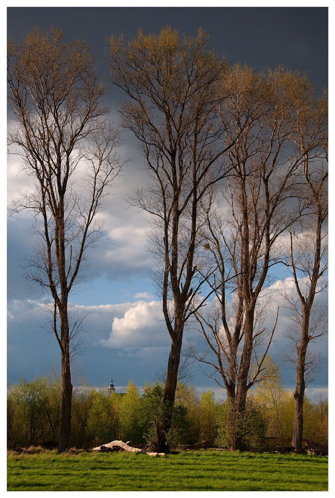 Blick zum Michaelsberg (2)