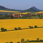 Blick zum Mila dem nördlichsten der drei bekanntesten Lauener Steppenbergen...