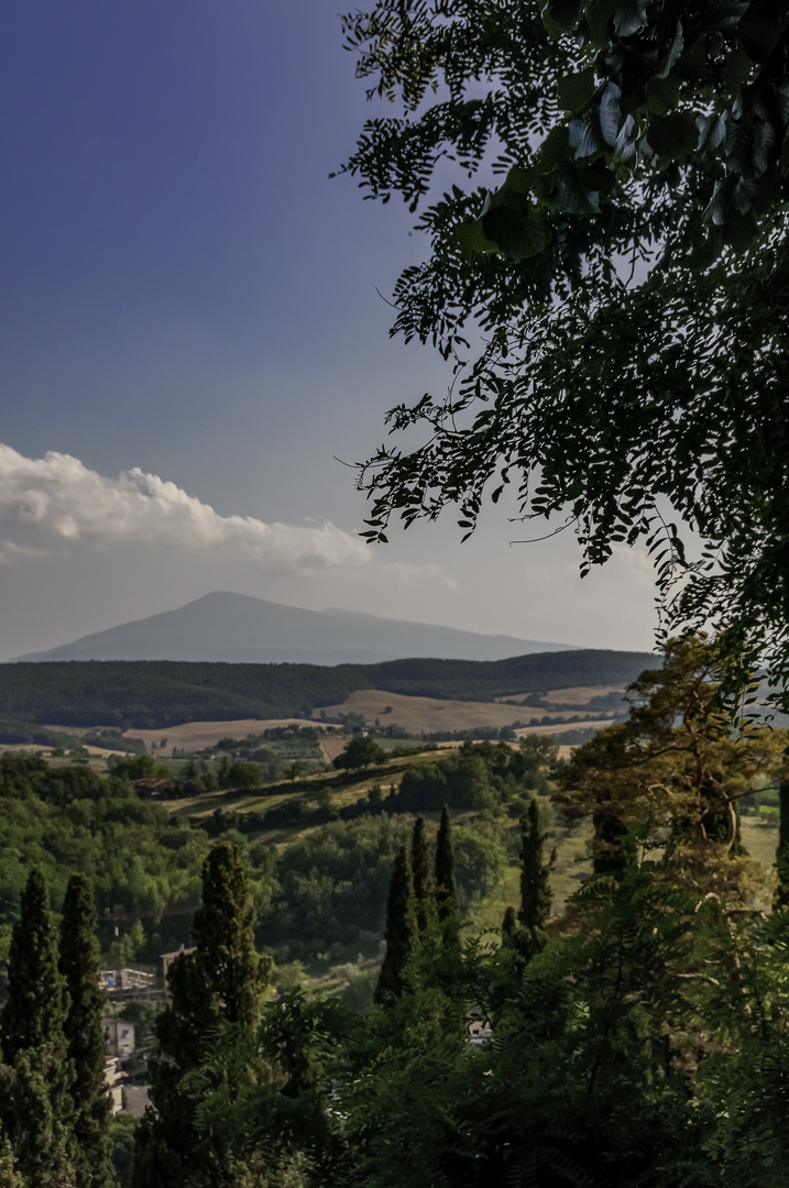 Blick zum Monte Amiata