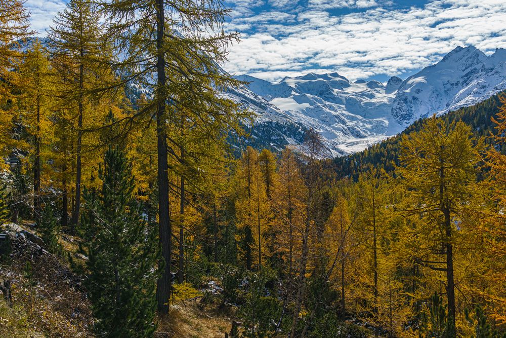 Blick zum Morteratsch-Gletscher